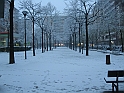 NEVE_Torino_28_11_2008  6478